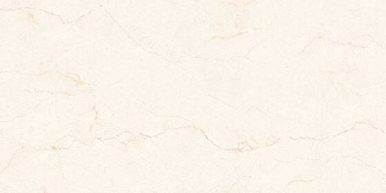 Vatican Marfil